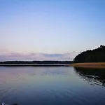 Dzik W Zagrodzie