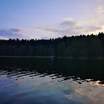 Dzik W Zagrodzie База отдыха Борск