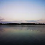 Dzik W Zagrodzie База отдыха
