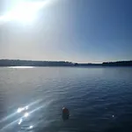 Dzik W Zagrodzie База отдыха *