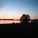 Dzik W Zagrodzie