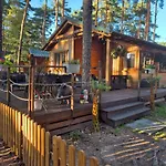 Dzik W Zagrodzie Борск