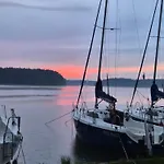 Dzik W Zagrodzie База отдыха Борск