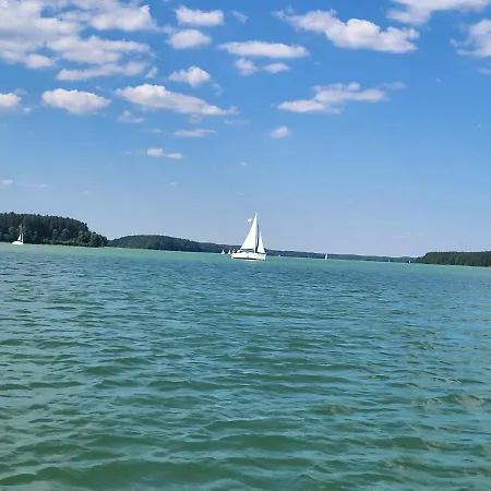 Dzik W Zagrodzie * בורסק