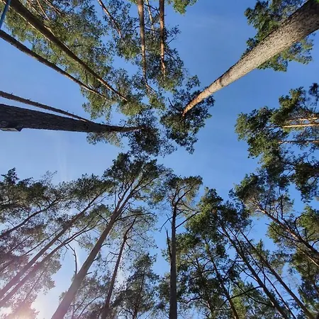 Parque de vacaciones Dzik W Zagrodzie