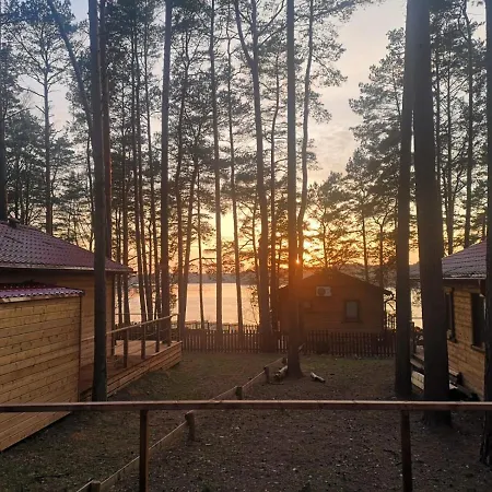 Dzik W Zagrodzie בורסק