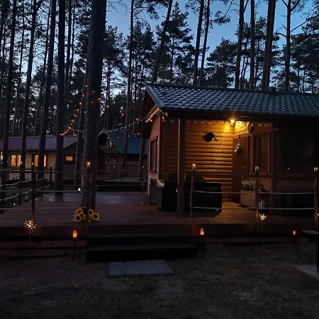 Dzik W Zagrodzie * בורסק