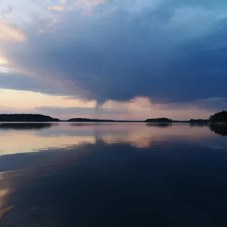 Dzik W Zagrodzie Borsk