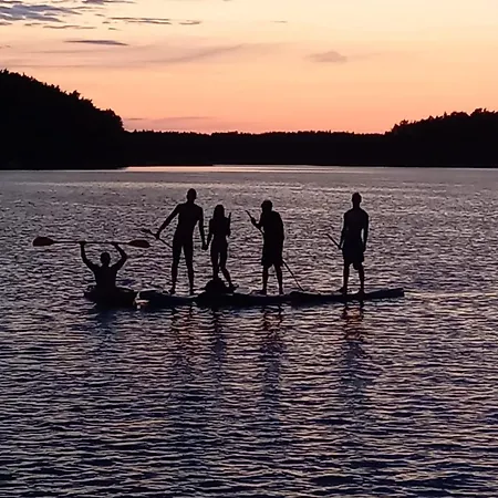 Dzik W Zagrodzie Semesterpark *