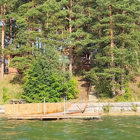 Dzik W Zagrodzie * Borsk