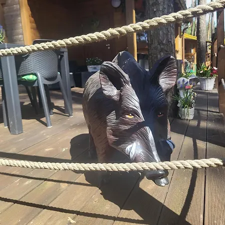 Dzik W Zagrodzie Parque de vacaciones Borsk