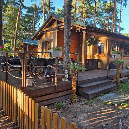 Dzik W Zagrodzie בורסק