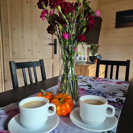 Dzik W Zagrodzie פארק נופש בורסק