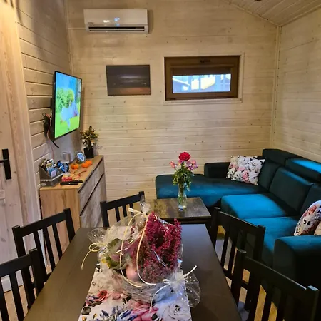 Dzik W Zagrodzie * Borsk