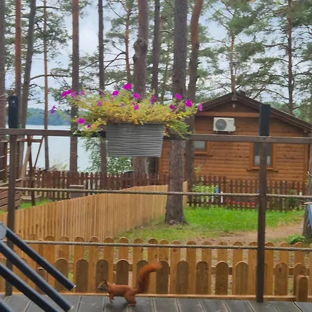 Dzik W Zagrodzie Parque de vacaciones Borsk