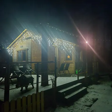 Dzik W Zagrodzie * Borsk