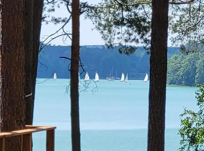 База отдыха Dzik W Zagrodzie *