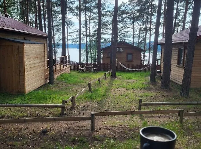 База отдыха Dzik W Zagrodzie Борск