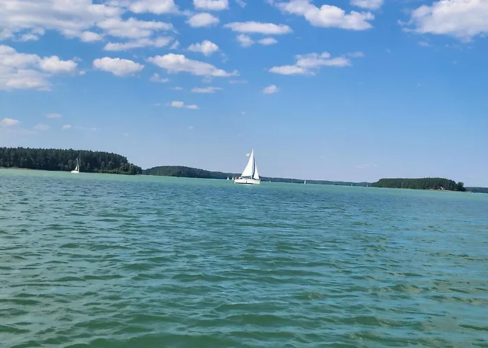 Dzik W Zagrodzie * Борск