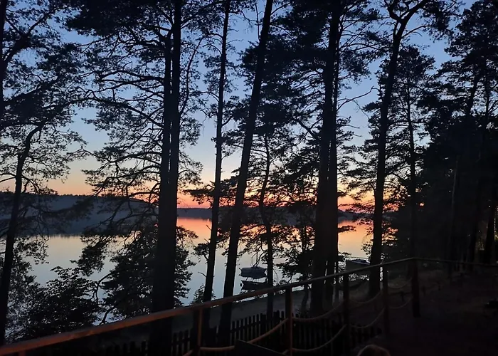 База отдыха Dzik W Zagrodzie Борск