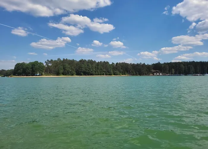 База отдыха Dzik W Zagrodzie Борск