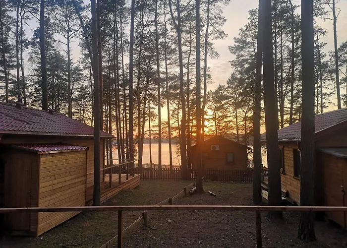 Dzik W Zagrodzie Борск