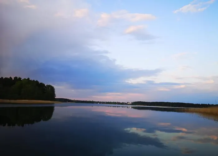 Dzik W Zagrodzie База отдыха *