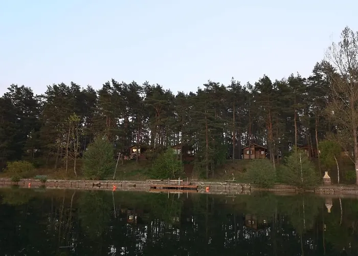 Dzik W Zagrodzie * Борск