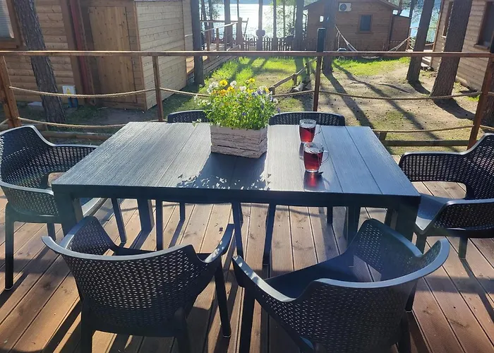 Dzik W Zagrodzie Ferienpark Borsk