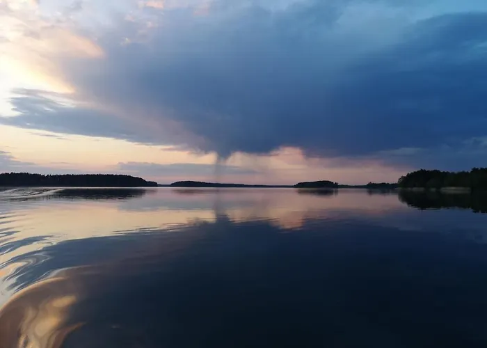 Dzik W Zagrodzie Борск