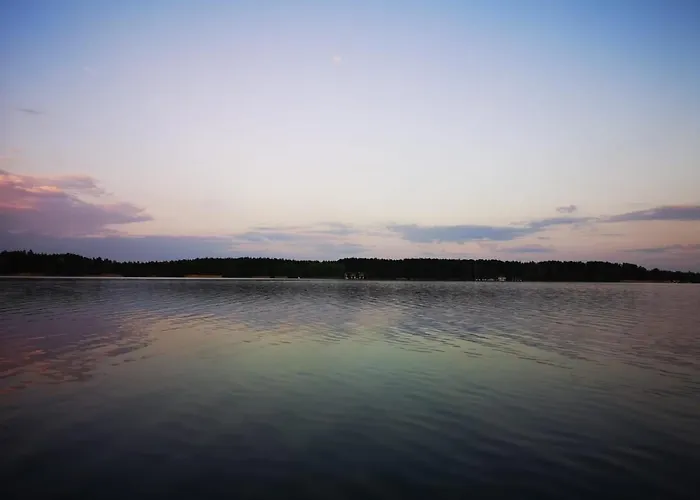 Dzik W Zagrodzie База отдыха