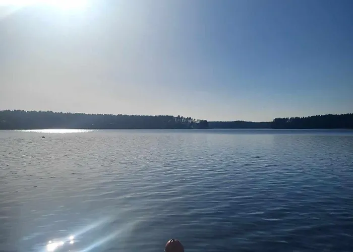 Dzik W Zagrodzie База отдыха *