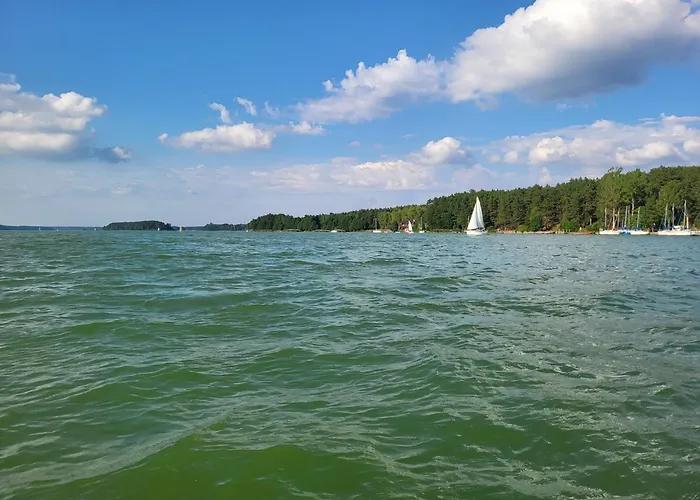 База отдыха Dzik W Zagrodzie Борск