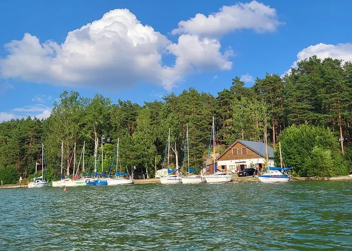 Dzik W Zagrodzie База отдыха *