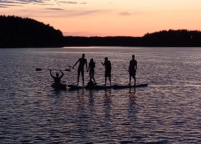 Dzik W Zagrodzie База отдыха *