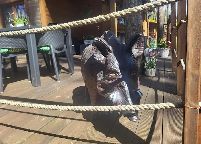 Dzik W Zagrodzie База отдыха Борск