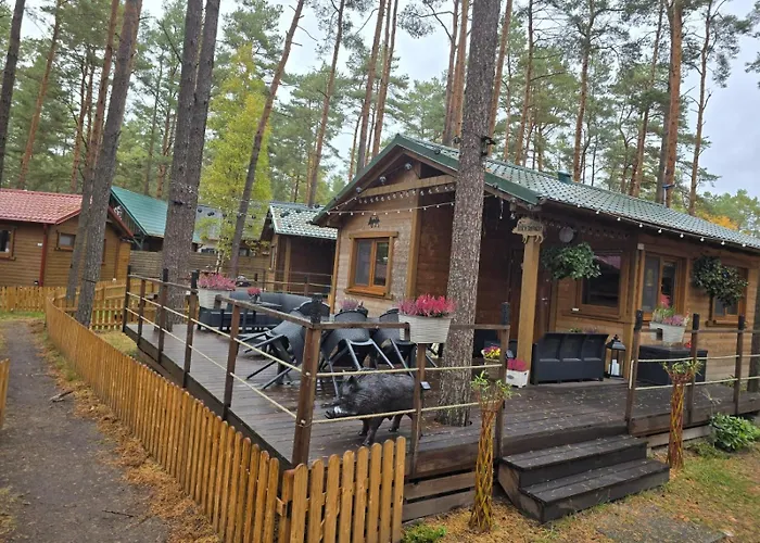 Dzik W Zagrodzie База отдыха *