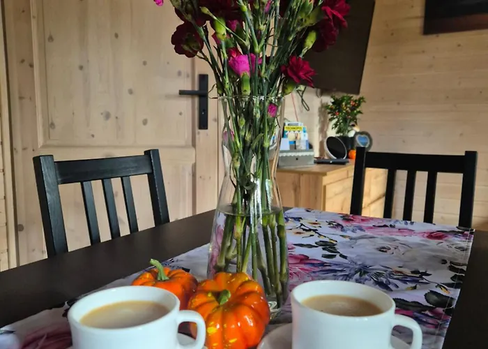 Dzik W Zagrodzie База отдыха Борск