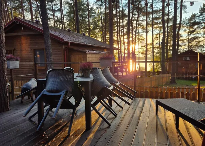 Dzik W Zagrodzie База отдыха