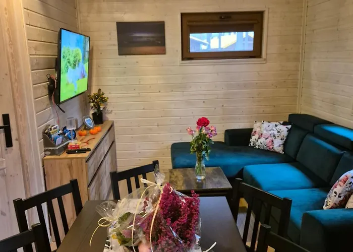 Dzik W Zagrodzie * Борск