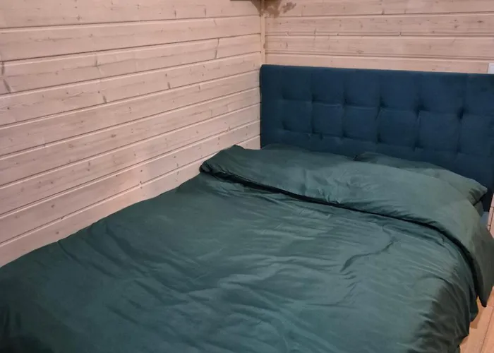 Dzik W Zagrodzie База отдыха Борск