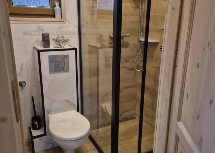 Dzik W Zagrodzie Борск