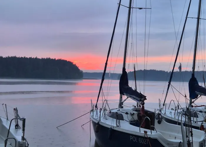 Dzik W Zagrodzie База отдыха Борск