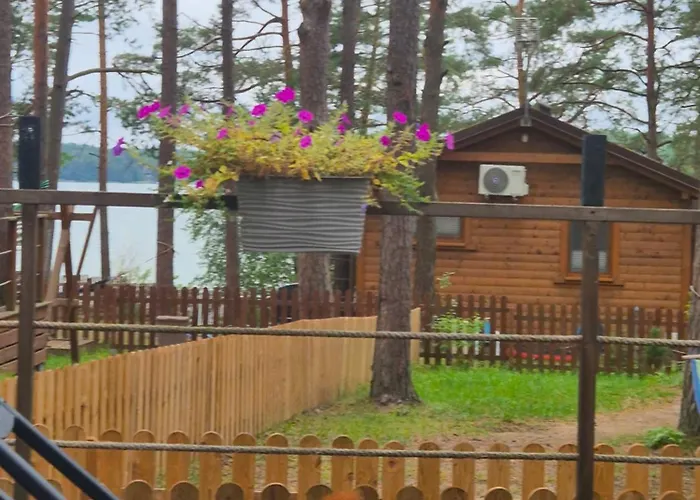 Dzik W Zagrodzie База отдыха Борск