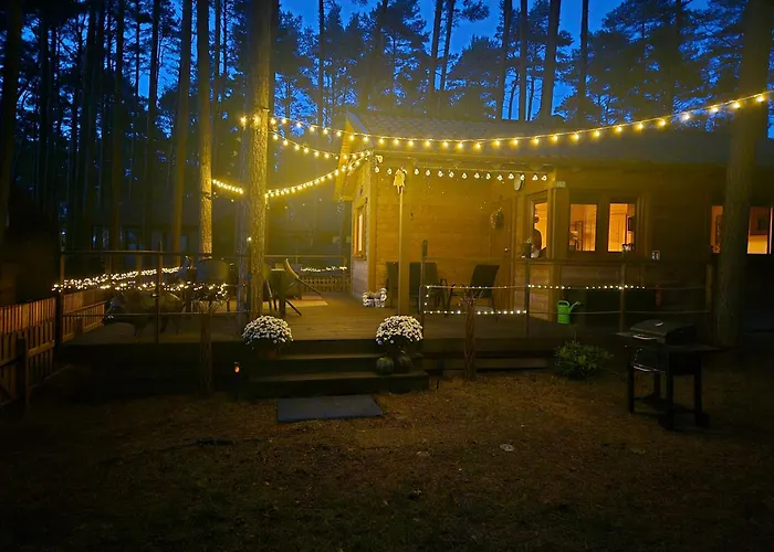 Dzik W Zagrodzie База отдыха Борск