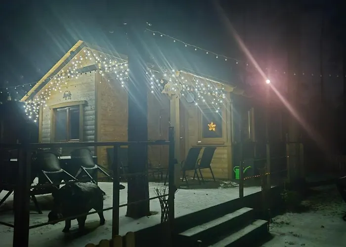 Dzik W Zagrodzie * Борск